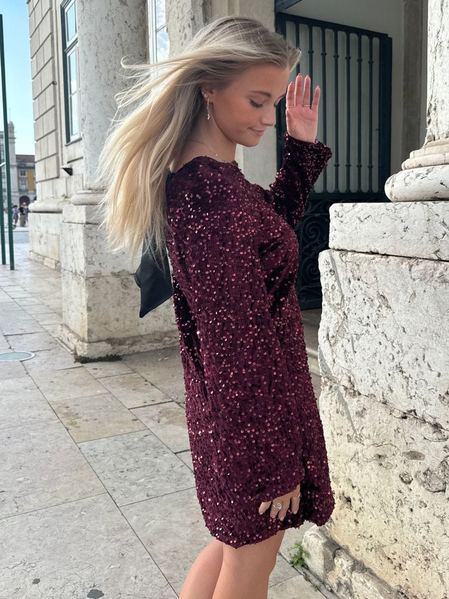 Aija Bow Dress Dark Red